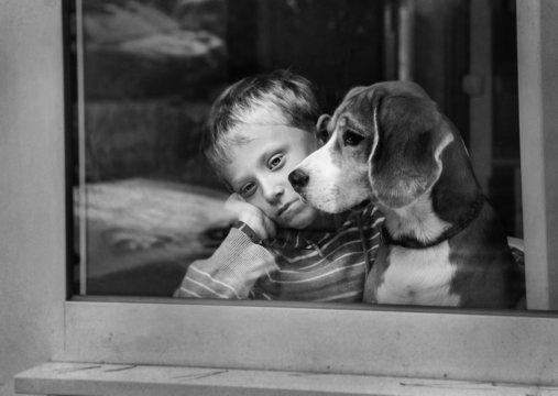 Alone sad little boy with dog near window