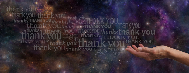 Thanking the Universe Website Banner