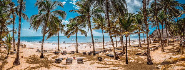 Spiaggia di palme