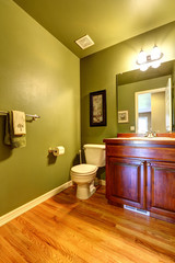 Green bathroom interior