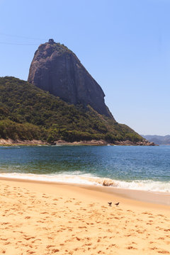 Mountain Sugarloaf  red beach (Praia Vermelha) doves, Rio de Jan