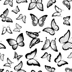 Fototapeta na wymiar butterflies seamless pattern
