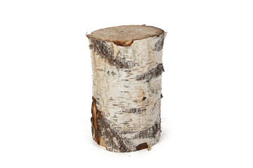 Isolated photo of birch stump