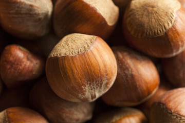Raw Organic Whole Hazelnuts