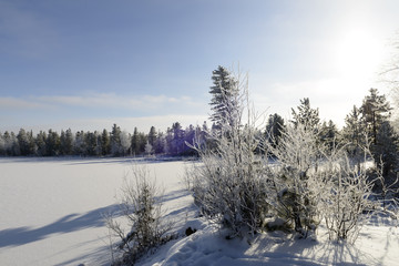 Scenic winter forest landscape in the north of Russia