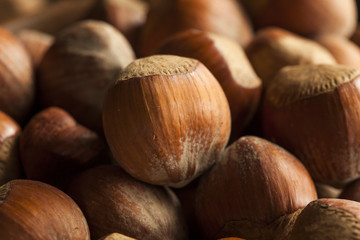 Raw Organic Whole Hazelnuts
