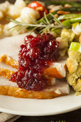 Homemade Thanksgiving Turkey on a Plate