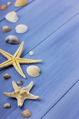 Seashells and starfish on a blue background