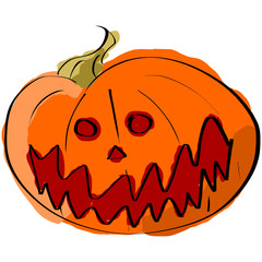 Fototapeta premium Zucca