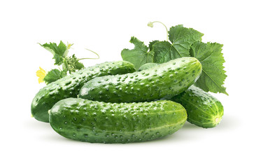 Cucumber group and leaves isolated on white