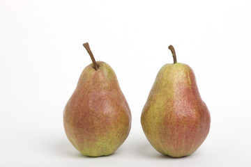 洋ナシ　バートレット