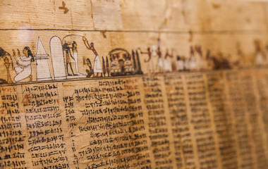 Naklejka premium Book of the Dead