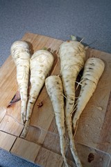 home grown parsnips