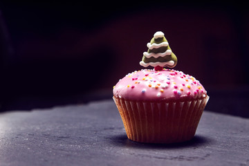 Cupcake with christmas tree on top