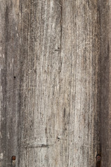 The old wood texture with natural patterns