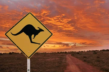 Fototapeten Australische Landschaft © totajla