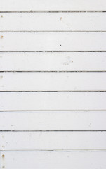 Fototapeta premium The white wood texture with natural patterns background