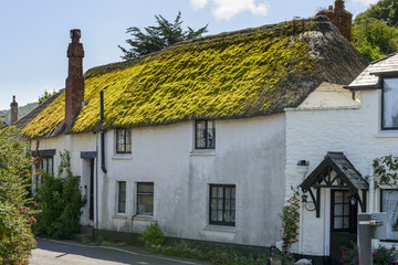 Fototapeta na wymiar green straw roof cottage at Porlock Weir, Somerset