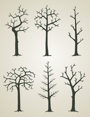 Vector illustration of trees without leaves