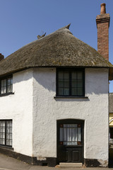 cottage  with straw roof at Porlock, Somerset