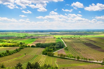 Countryside of southern Moravia