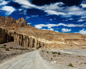 Road in Himalayas