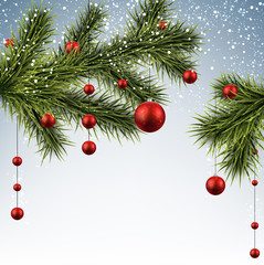 Christmas background with spruce branches.