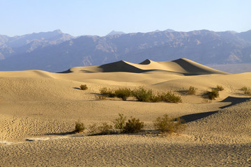 Fototapeta na wymiar Mesquite Sand Dune, Death Valley