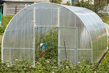 Polycarbonate greenhouse on a country site