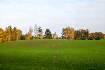 Fototapeta na wymiar Autumn landscape.