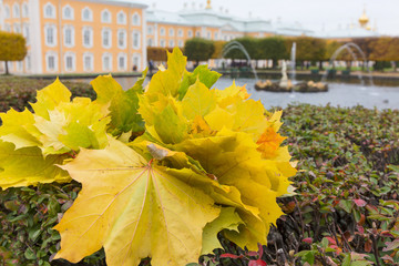 Obraz premium autumn story