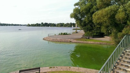 Gr&uuml;nalgen in der Alster