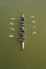 Four men rowing on Danube river