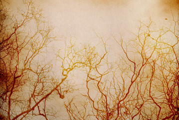 dried tree on paper texture with retro filter effect