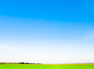 Scene Dream Landscape