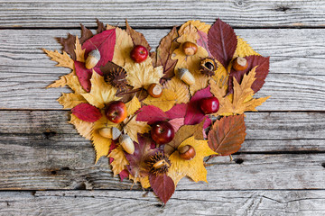 Naklejka na ściany i meble Autumn background