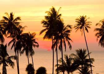 Naklejka premium Coconut Horizon Fiery Backdrop