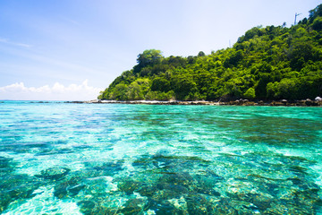 Divine Shoreline In Paradise Found