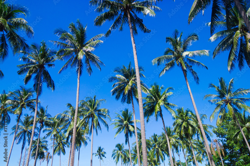 Canvas Prints idyllic day coast