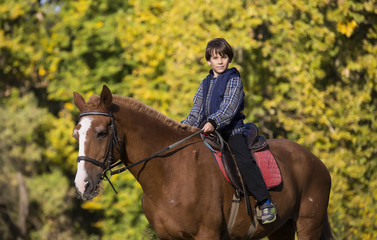 horse ride young guy autumn forest