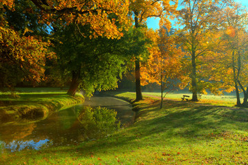 Beautiful autumn tree with fallen dry leaves