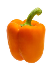 Orange Bulgarian pepper