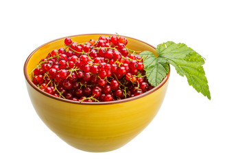 Red currant