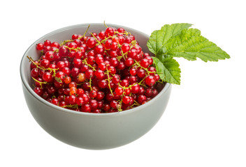 Red currant
