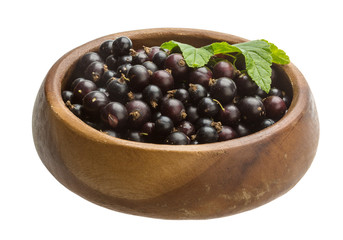 Black currant