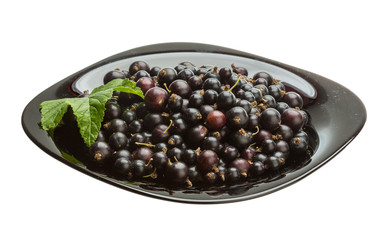Black currant