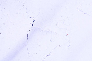 White wall texture or background