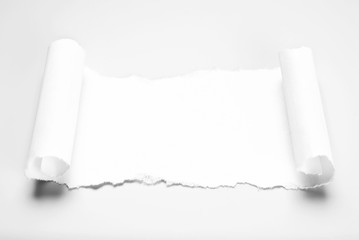 Blank paper scrap in scroll form