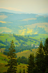 Obraz premium summer in the mountains. Carpathian, Ukraine, Europe.