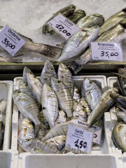 Cassette di pesce fresco al mercatino rionale